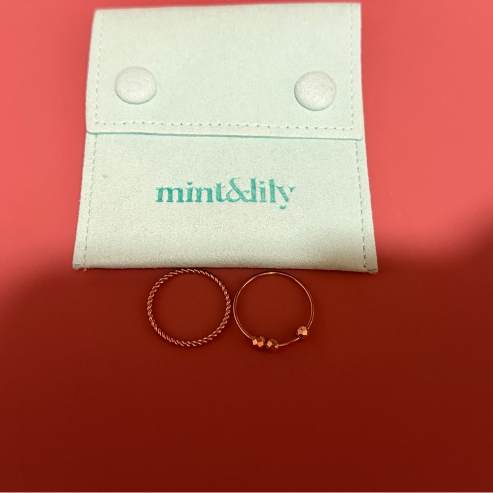 Mint & Lily Dainty Stacked Fidget Ring